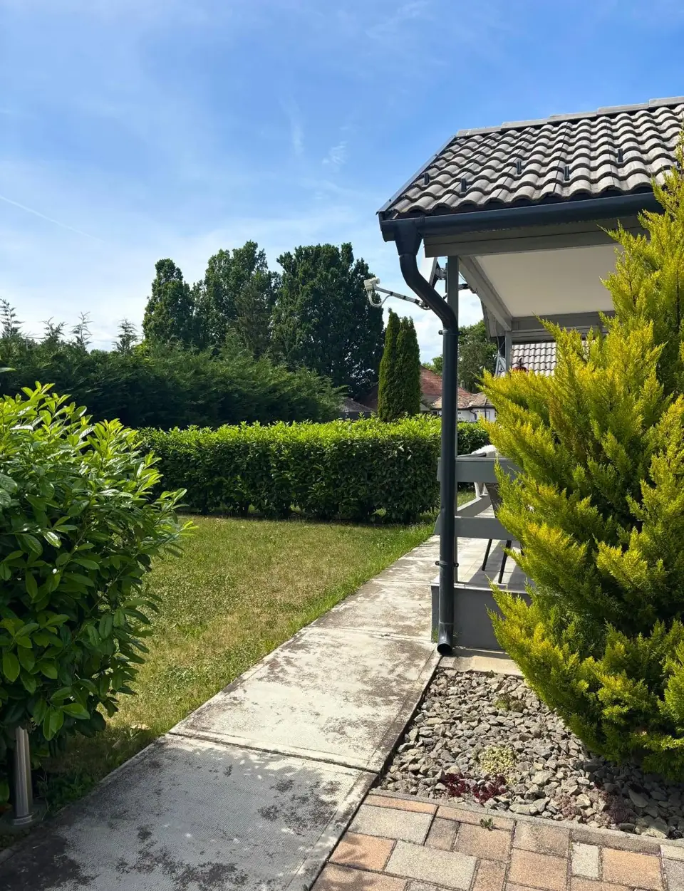 The quiet green garden at Gabriella Guesthouse